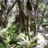 2012-01-24_11.45.52